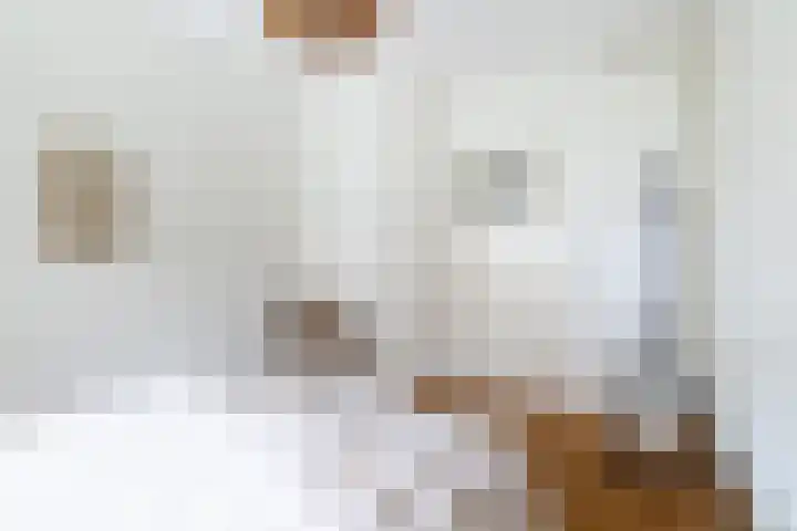 Steijnlaan 72 Breda thumbnail 21
