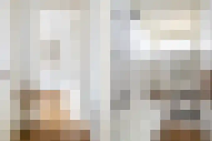 Steijnlaan 72 Breda thumbnail 22