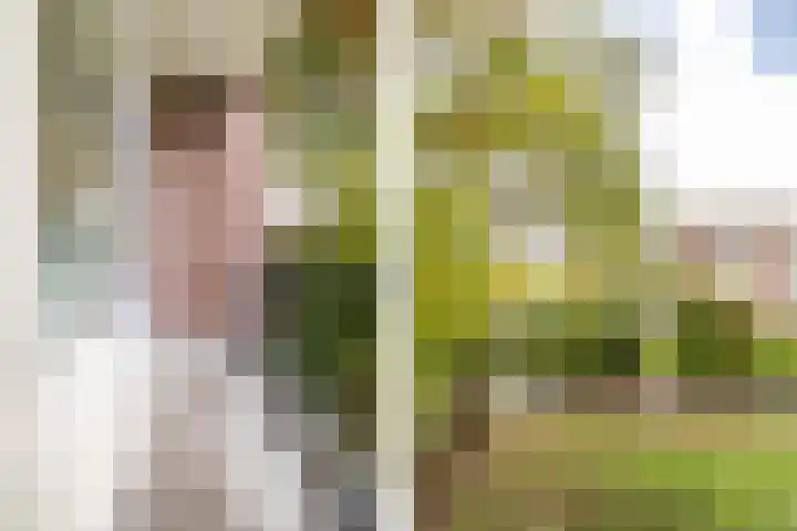 Steijnlaan 72 Breda thumbnail 26