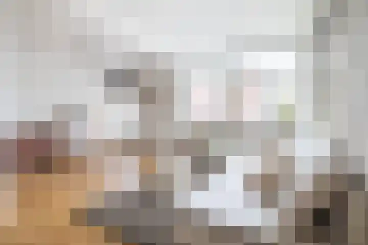 Steijnlaan 72 Breda thumbnail 8