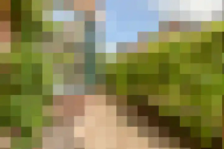 Steijnstraat 2 Alkmaar thumbnail 7