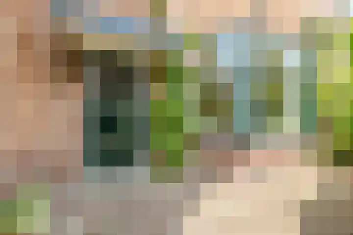 Steijnstraat 2 Alkmaar thumbnail 8
