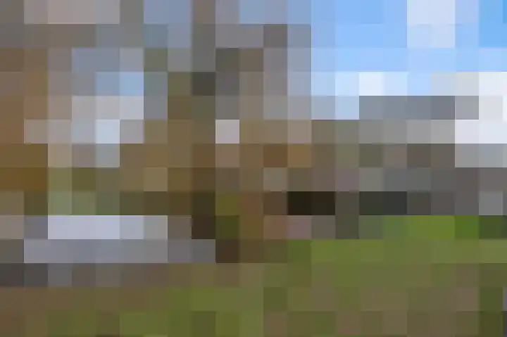 Steijnstraat 20 Wormerveer thumbnail 30