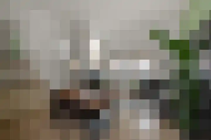 Steijnstraat 20 Wormerveer thumbnail 8