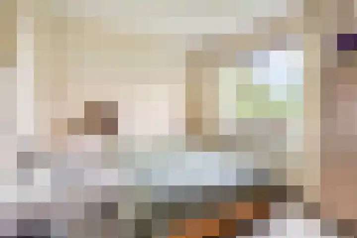Steinhartstraat 9 Sweikhuizen thumbnail 16