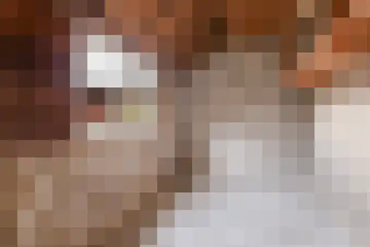 Steinstraat 16 Vaassen thumbnail 13