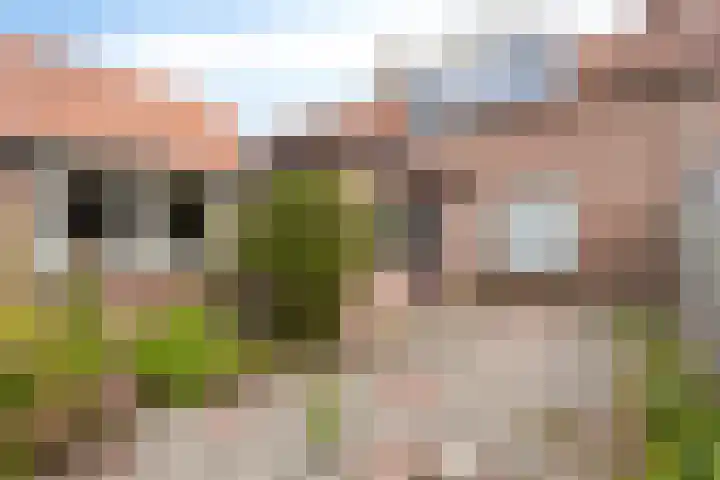 Steinstraat 16 Vaassen thumbnail 18