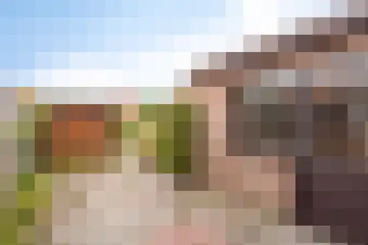 Steinstraat 16 Vaassen thumbnail 19
