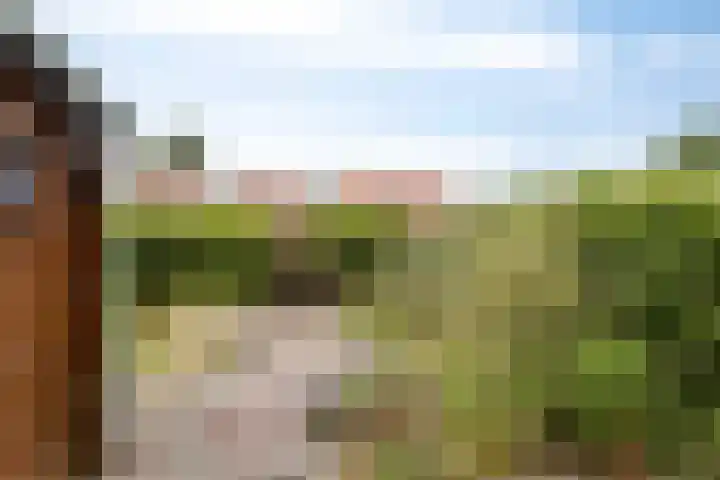 Steinstraat 16 Vaassen thumbnail 21