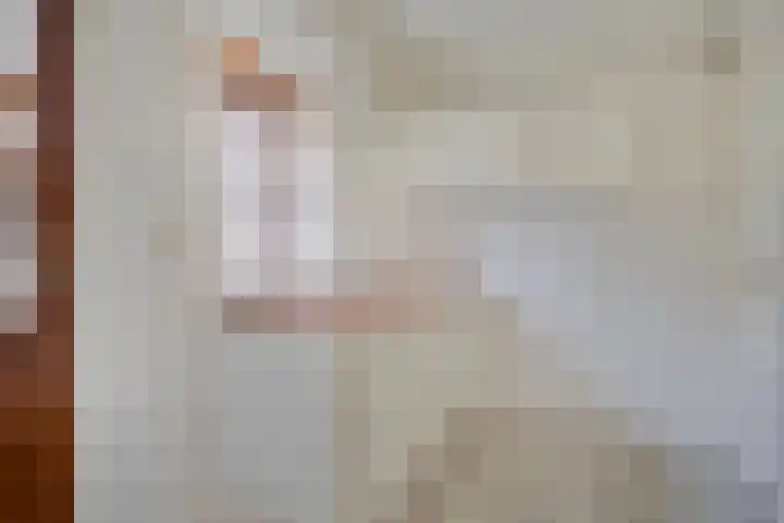 Steinstraat 16 Vaassen thumbnail 8