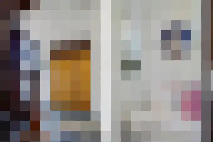Steinwegstraat 2 Delden thumbnail 11