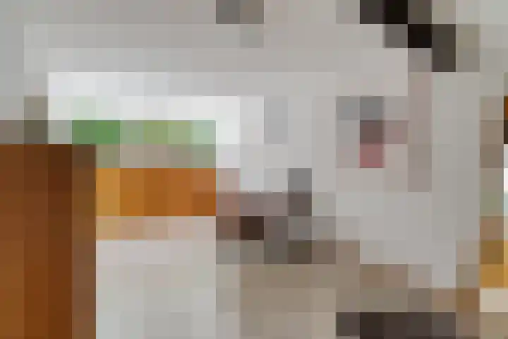 Steinwegstraat 2 Delden thumbnail 23