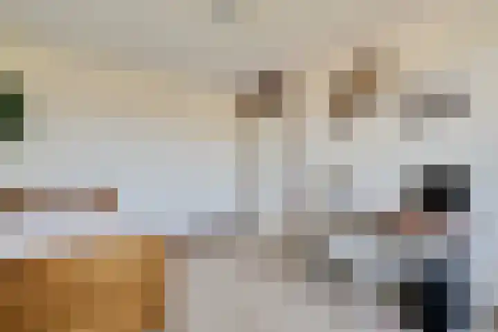 Steinwegstraat 2 Delden thumbnail 33