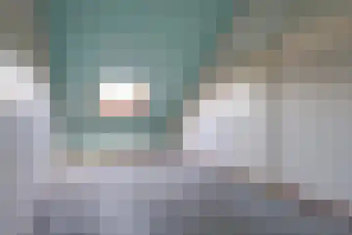 Stekelbaars 11 Leusden thumbnail 22