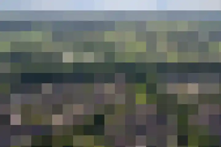 Stekelbaars 11 Leusden thumbnail 36