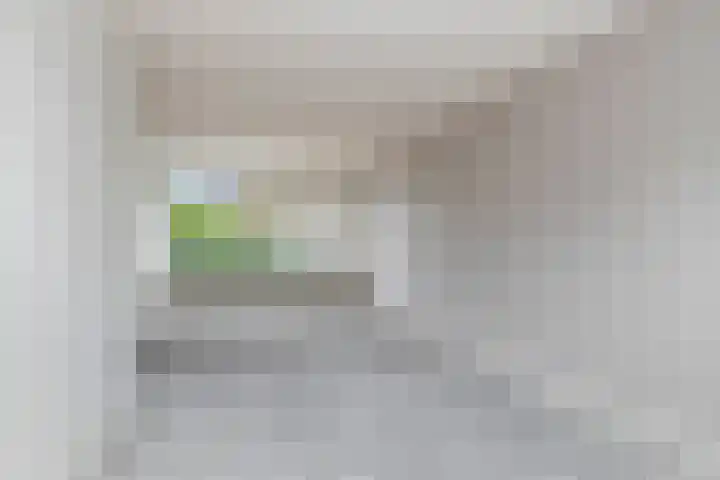 Stekelbrem 45 Rotterdam thumbnail 10