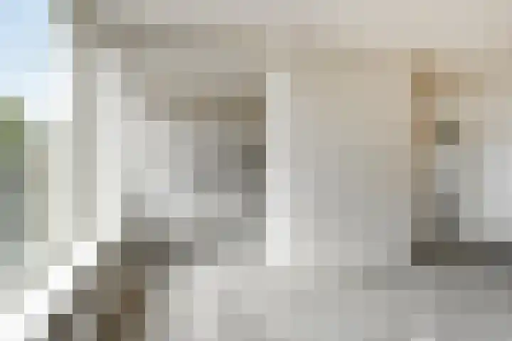 Stekelbrem 45 Rotterdam thumbnail 11