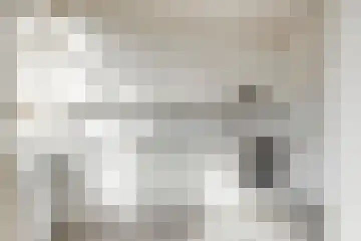 Stekelbrem 45 Rotterdam thumbnail 12