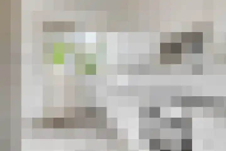 Stekelbrem 45 Rotterdam thumbnail 13