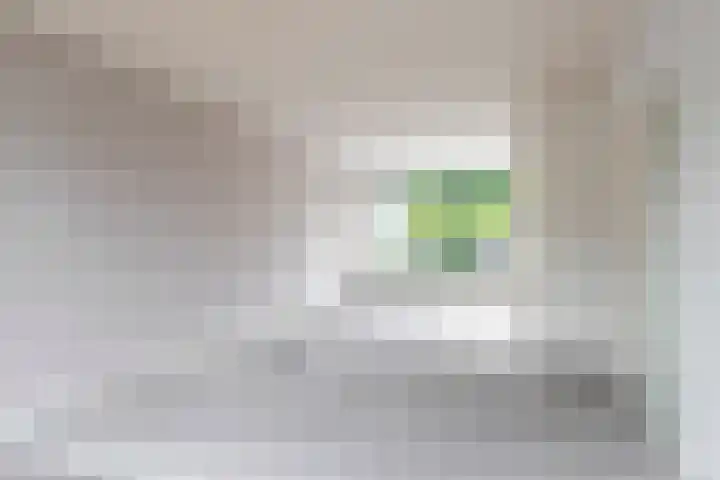 Stekelbrem 45 Rotterdam thumbnail 7