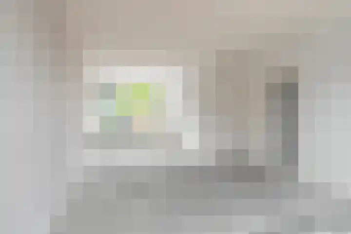 Stekelbrem 45 Rotterdam thumbnail 8