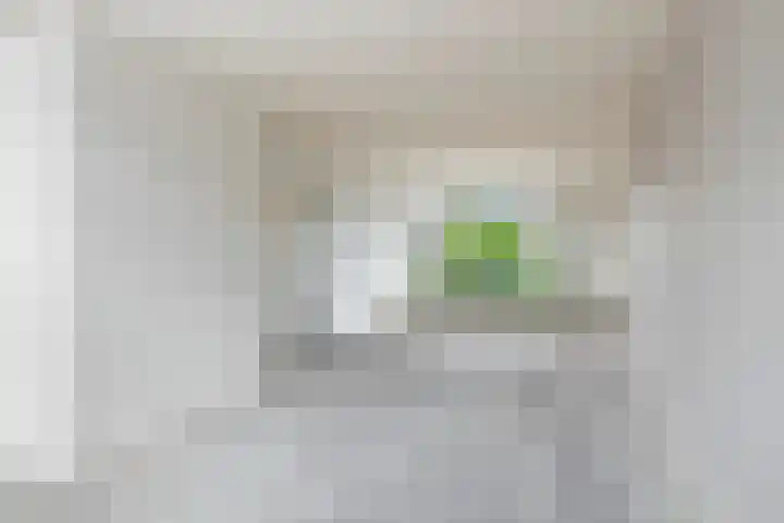 Stekelbrem 45 Rotterdam thumbnail 9