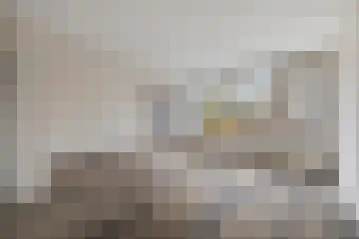 Stekelbrem 8 Rotterdam thumbnail 10