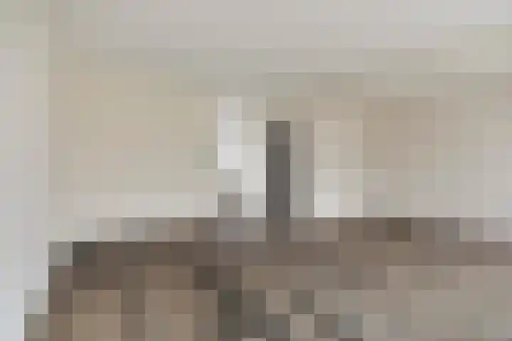 Stekelbrem 8 Rotterdam thumbnail 11