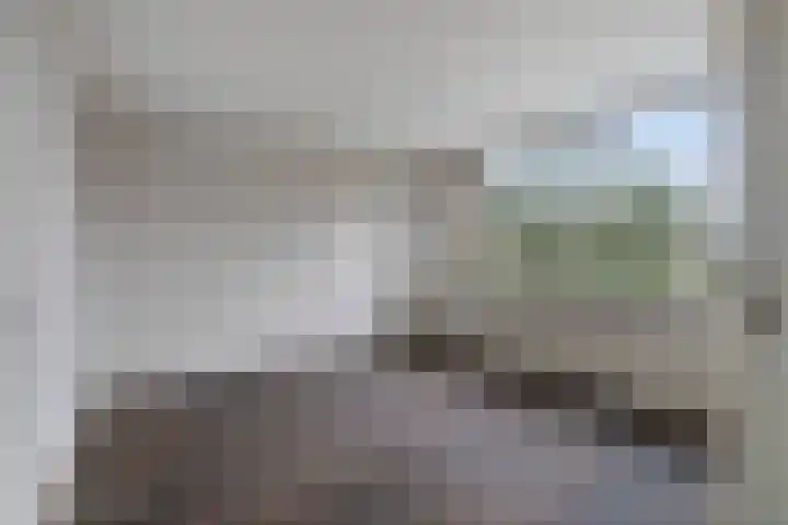 Stekelbrem 8 Rotterdam thumbnail 15