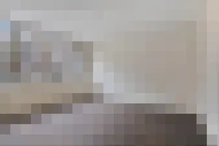 Stekelbrem 8 Rotterdam thumbnail 19