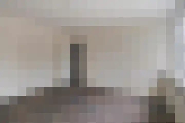 Stekelbrem 8 Rotterdam thumbnail 20
