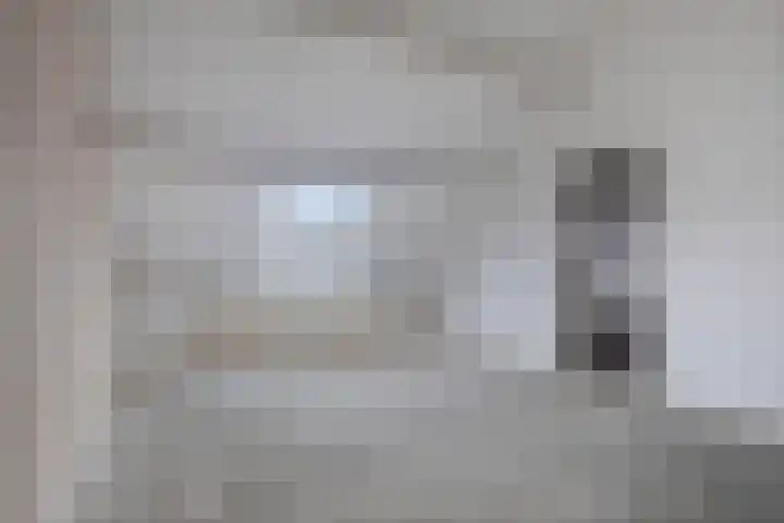 Stekelbrem 8 Rotterdam thumbnail 24