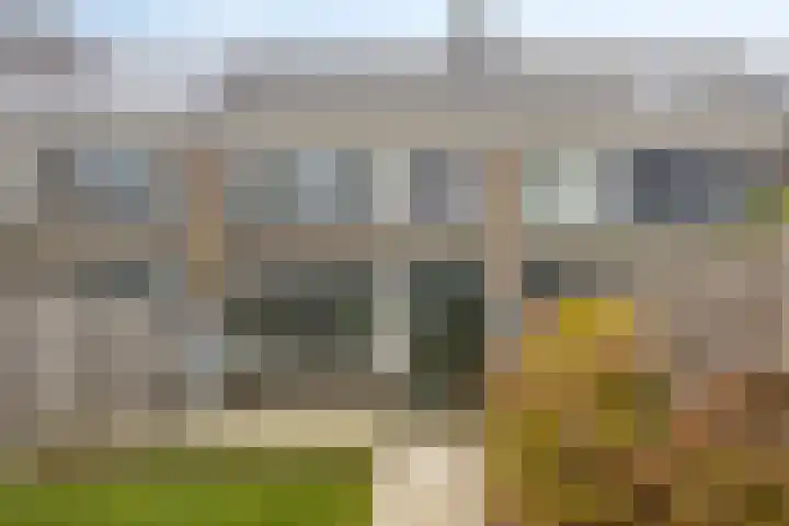 Stekelbrem 8 Rotterdam thumbnail 29