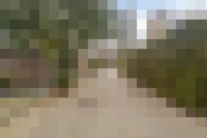 Stekelbrem 8 Rotterdam thumbnail 31