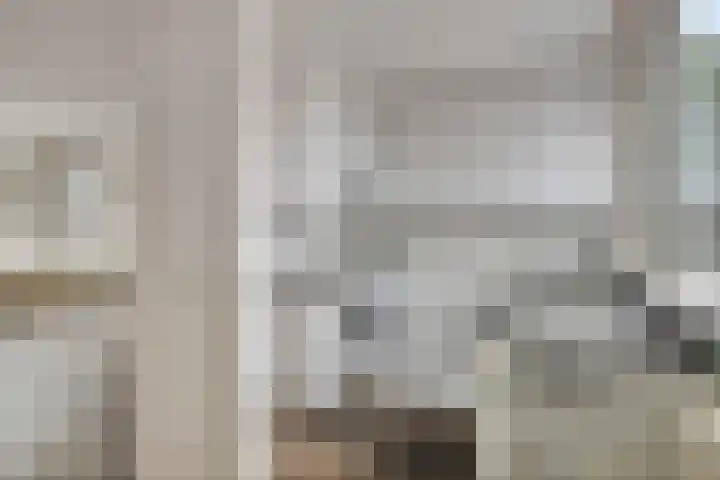 Stekelbrem 8 Rotterdam thumbnail 7