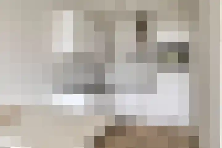 Stekeldijk 77 Purmerend thumbnail 8