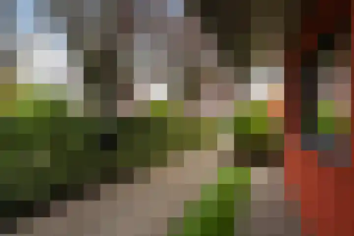Stellingmolen 20 Weert thumbnail 10