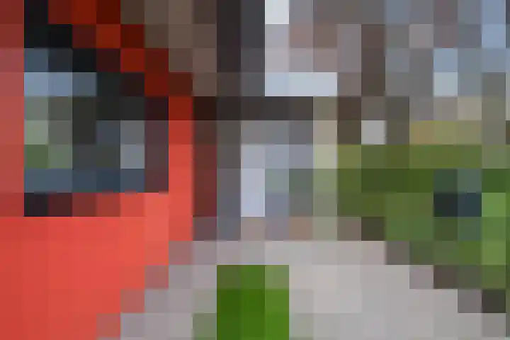 Stellingmolen 20 Weert thumbnail 11