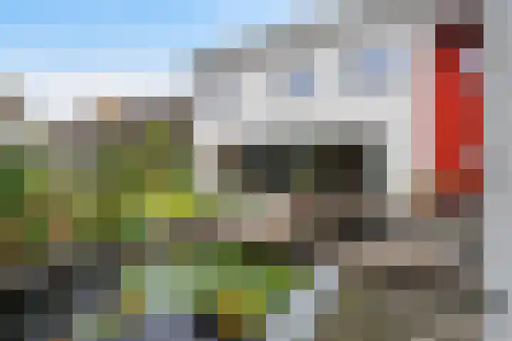 Stellingmolen 20 Weert thumbnail 5