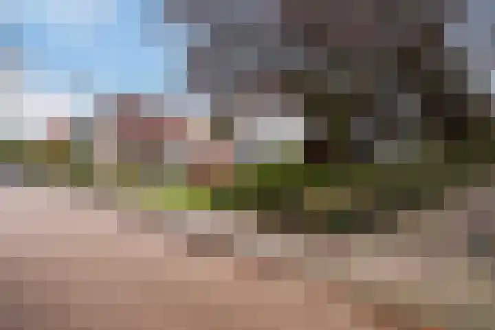 Stellingmolen 20 Weert thumbnail 55