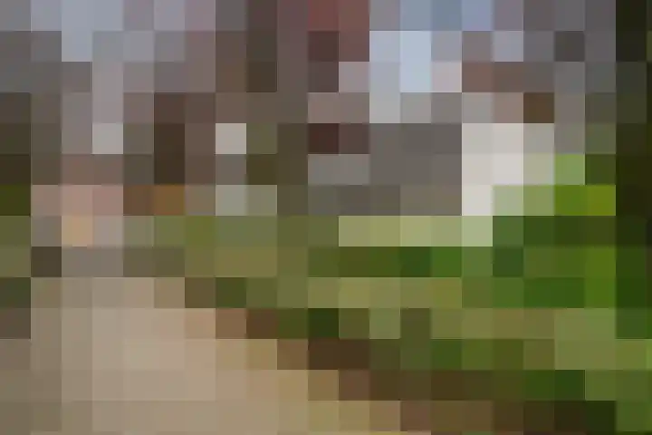 Stellingmolen 20 Weert thumbnail 8