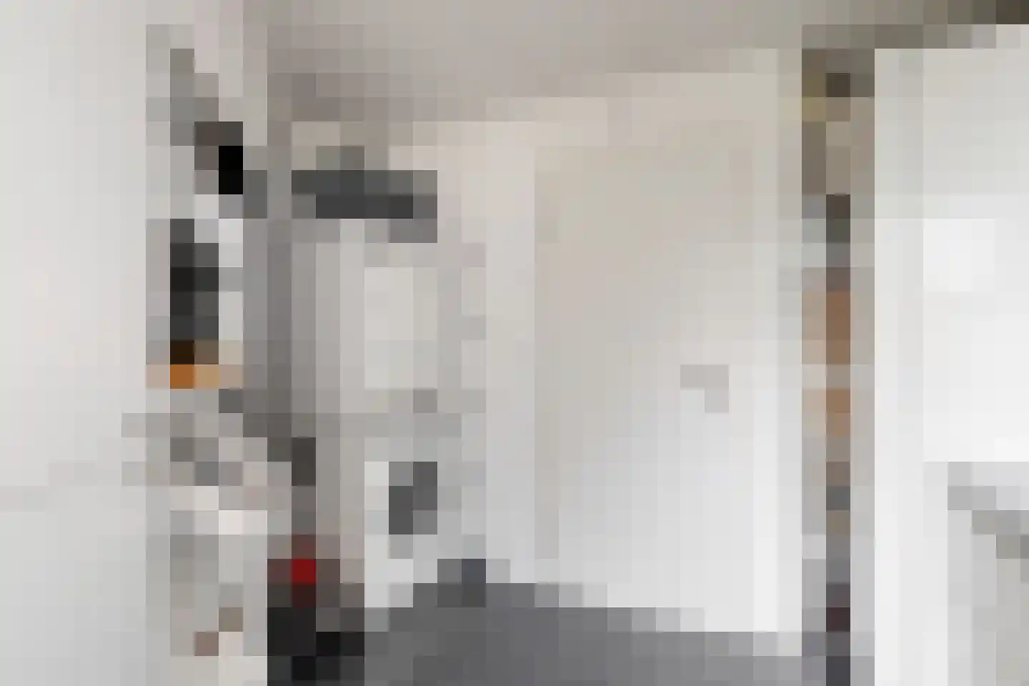 Stellingmolen 22 Herten thumbnail 12