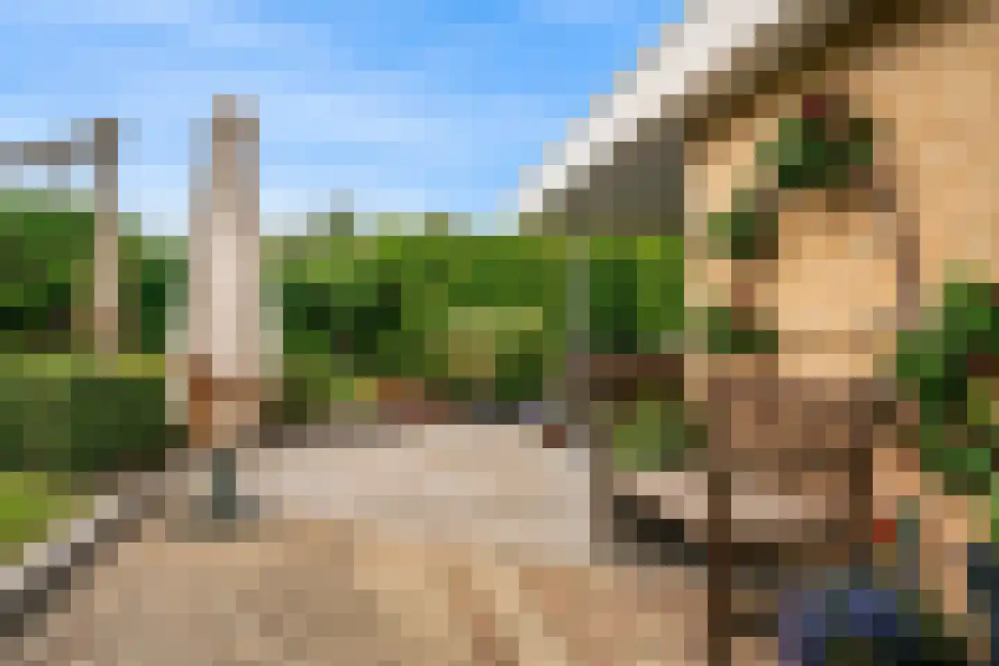 Stellingmolen 22 Herten thumbnail 28
