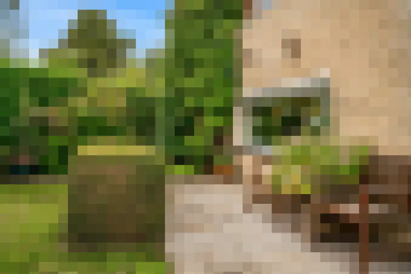 Stellingmolen 22 Herten thumbnail 29