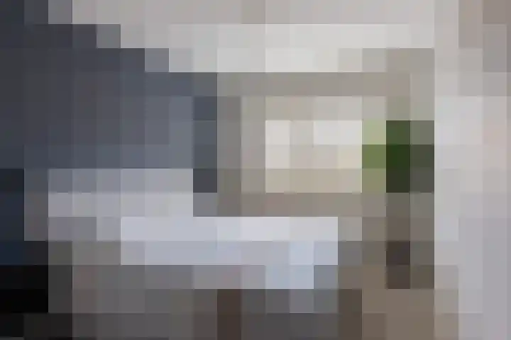 Stellingmolen 3 Maassluis thumbnail 21