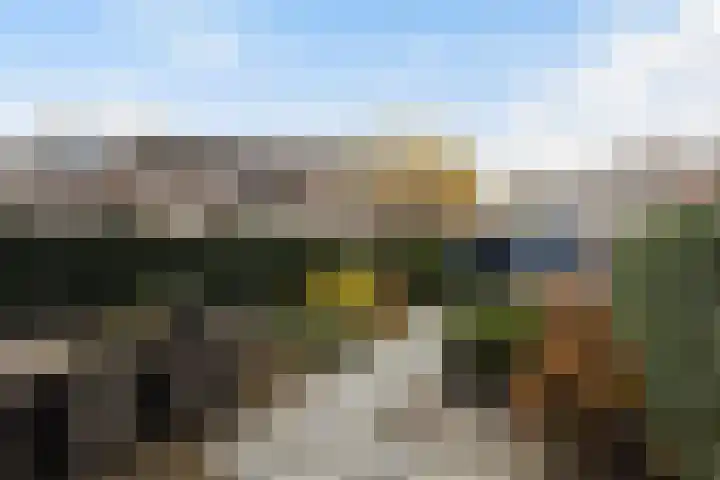 Stellingmolen 3 Maassluis thumbnail 33