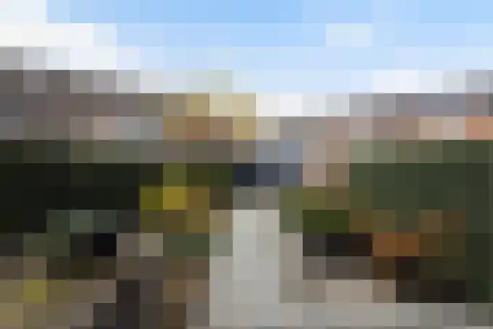 Stellingmolen 3 Maassluis thumbnail 34