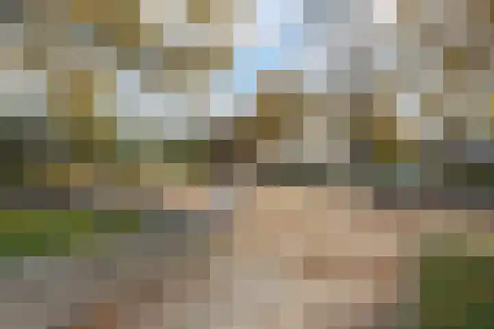 Stellingmolen 3 Maassluis thumbnail 41