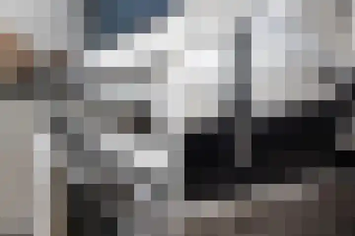 Stellingmolen 3 Maassluis thumbnail 9