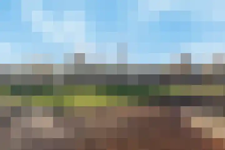 Stellingmolen 35 Barendrecht thumbnail 41